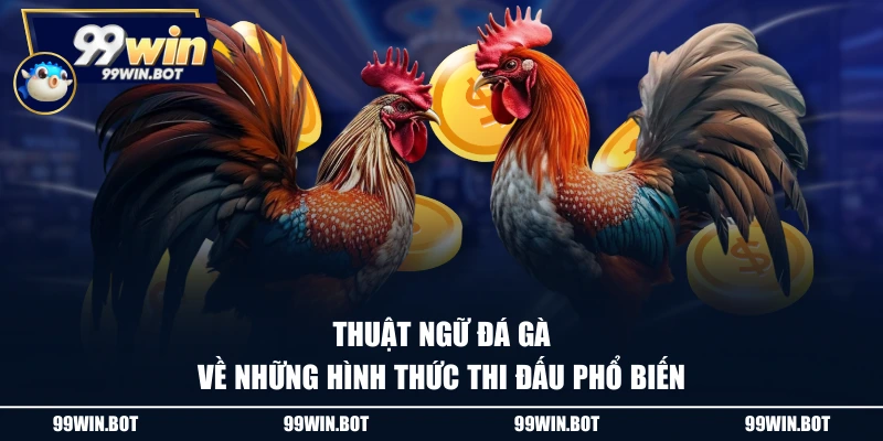 Thuật Ngữ Đá Gà Hiểu Thế Nào? Tổng Hợp Thông Tin Hữu Ích 2 Thuật ngữ đá gà về những hình thức thi đấu phổ biến